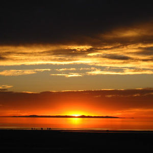 Meet your Posher, Fiona